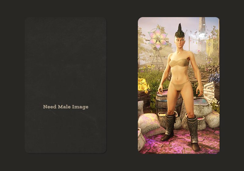 Heavy Boots of Stallion T3 X F