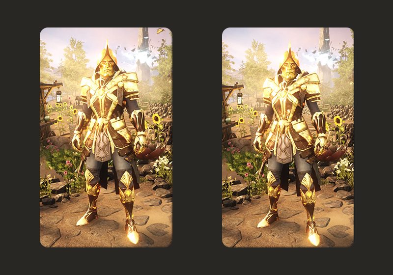 Heavy Expedition Captain T5 M F