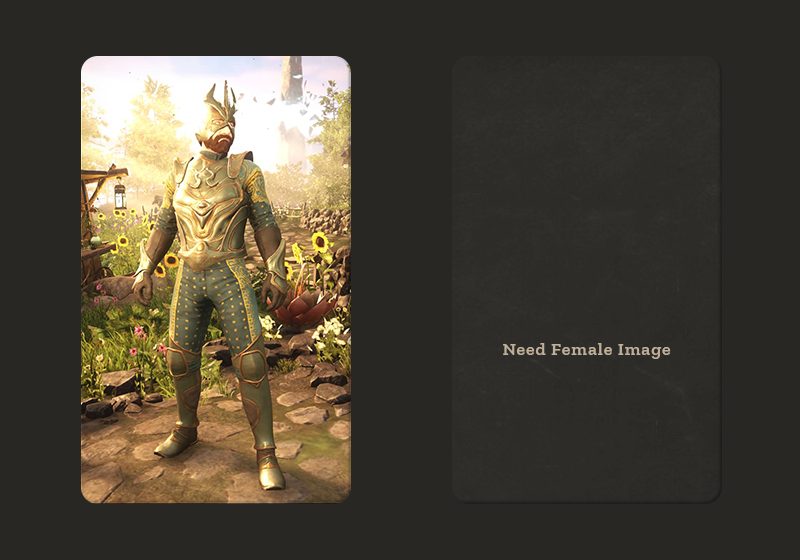 Heavy Immemorial T4 M X