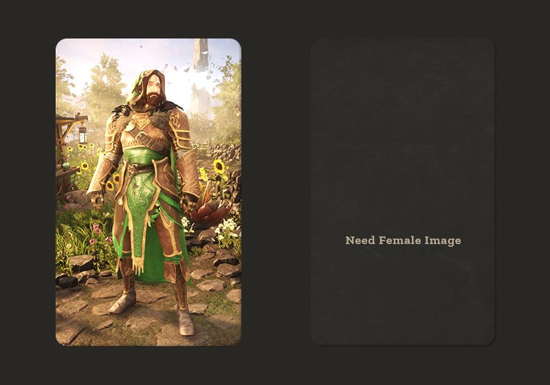 Medium Forest Warden T4 M X