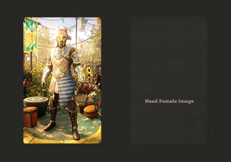 Medium Forgotten Protector T5 M X